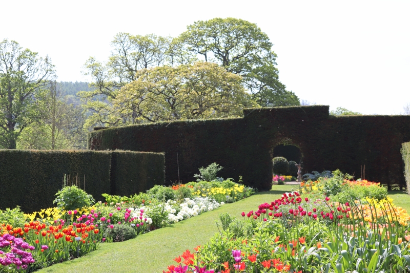 Glenarm Castle Walled Garden